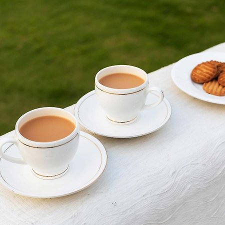 Stayvista At Jodhpur House - 3 Bedroom Pet Friendly Cozy Villa In Manali Манали Экстерьер фото